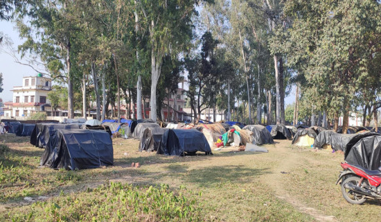 चुनावैपिच्छे वाचा, शुक्लाफाँटा आरक्ष विस्थापित २४ वर्षदेखि पुनःस्थापनाको पर्खाइमा