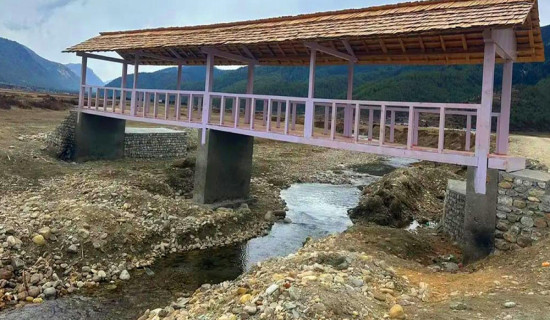 ‘हर सिनेमा, हर भोइस’ माथि अन्तर्क्रिया