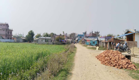 रोजगारी दिनेलाई बादी समुदायको मत