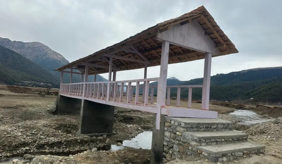 विजय मल्ल शताब्दी महोत्सव मनाइयो