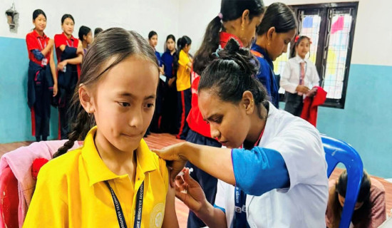 घातक हुन्छ प्यान्क्रियाजको क्यान्सर