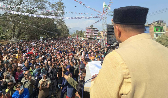 देश सञ्चालनका लागि कांग्रेसलाई मौका दिनुस् : सभापति थापा