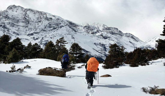 किसानलाई बाली भित्र्याउन चटारो
