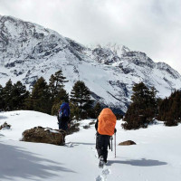 दुर्घटना न्यूनीकरण प्राथमिकता बनोस्