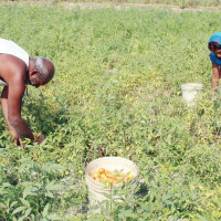 भोलि खण्डग्रास चन्द्रग्रहण