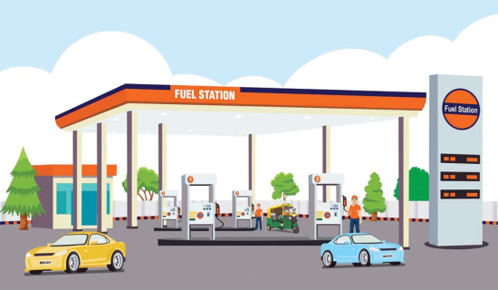 सार्वजनिक बिदामा पनि पेट्रोलियम पदार्थ पाइने