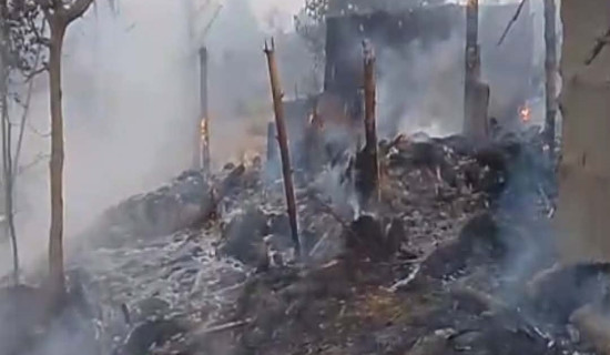 क्षतिग्रस्त उद्योगले पाएन बिमा रकम