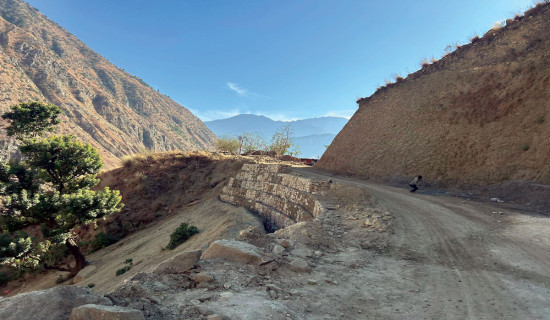 कर्णालीको विकास दलको घोषणापत्रमा