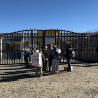 आकाशमा झुण्ड बनाएर उड्दै मैनाचरी