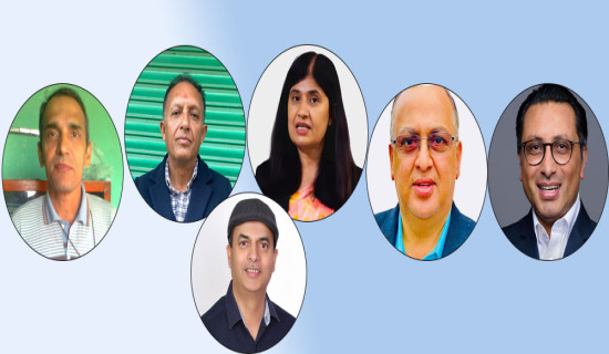 तनहुँमा बहुपक्षीय प्रतिस्पर्धा