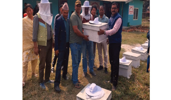 कर्णालीको विकास दलको घोषणापत्रमा