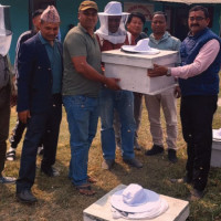 निःशुल्क पार्किङलाई निरन्तरता दिने अडानमा महानगर