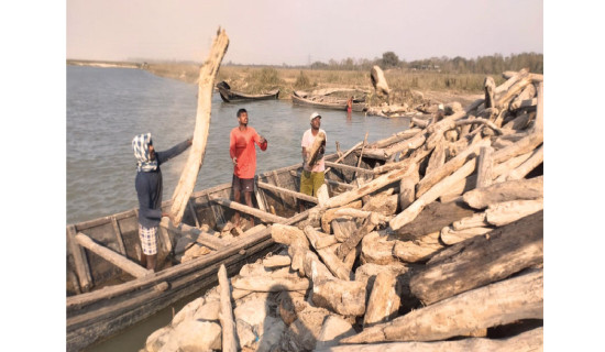 निःशुल्क पार्किङलाई निरन्तरता दिने अडानमा महानगर