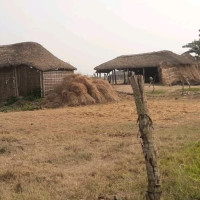 नारायणी पुलले मेघौली–पिठौली जोडिने : उम्मेदवार भूर्तेल