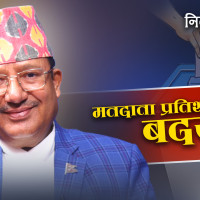 बाघ  नम्बर ३५५