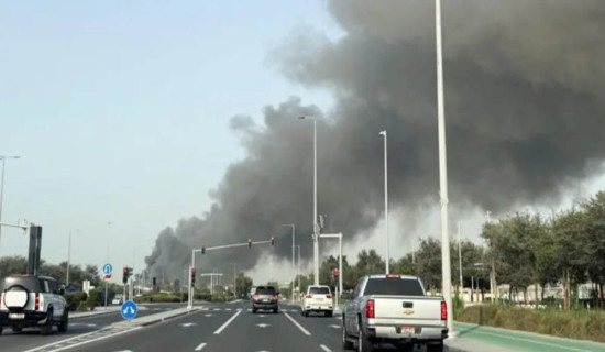 पन्क्षीलाई पनि जलवायु परिवर्तनको असर