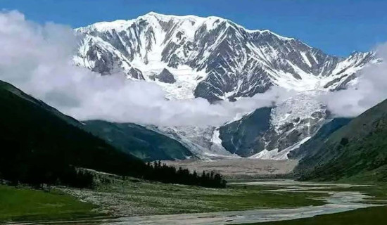 विज्ञ भन्नुहुन्छ, ‘बाघ समृद्धिको आधार बन्न सक्छ’