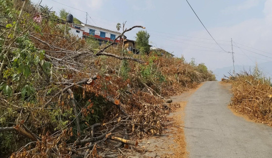 वामपन्थी ध्रुवीकरण आजको आवश्यकता हो : संयोजक प्रचण्ड