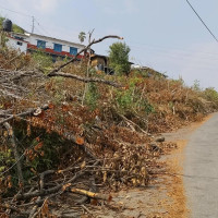 मधेसको भविष्यका लागि सचेत भएर मतदान गर्न उपेन्द्र यादवको अपिल