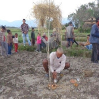 अष्ट्रेलियामा नेपाली मूलका वकिल