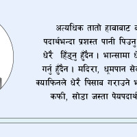 राजनीतिक दलले केही गरेनन् भन्नु भ्रम हो : माधव नेपाल