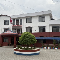 नेपालीसँगै रङ्गिए पर्यटक