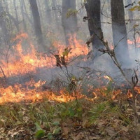 चार महिनामा करिब सात खर्ब रेमिट्यान्स भित्रियो