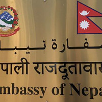 विश्वकप लिग–२ : नेपाल अमेरिकासँग १०६ रनले पराजित