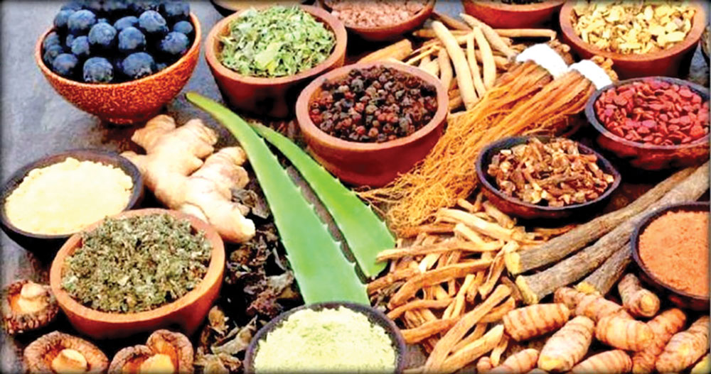 औषधी बनाउने सूत्र कानुन अभावमा अलपत्र