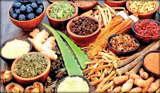 दूधमा आत्मनिर्भर तर आयात खुला