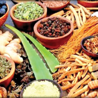 गृहमन्त्री अर्याल र आइजिपी कार्कीसँग जेनजी घाइतेहरूको भेट