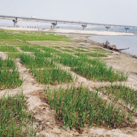 शिव र पार्वतीको पौराणिक कथा ‘महाकाली’