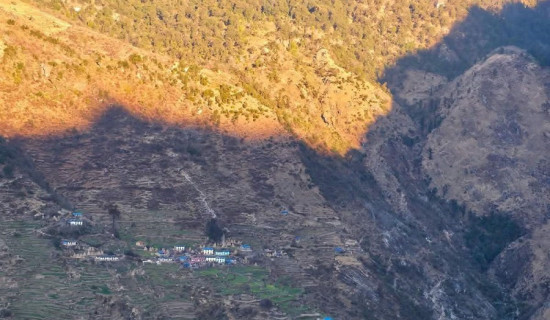 अमेरिकामा भानुभक्तको योगदानको चर्चा