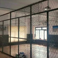 कर्णालीको बगरमा लोभलाग्दो प्याज खेती