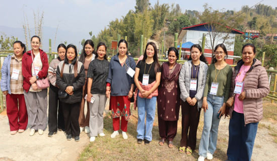 अमेरिकी व्यापार नीतिको असर, जर्मनीको वृद्धि दर घट्ने सङ्केत