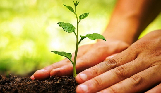 सुदूरको स्वास्थ्य सेवा