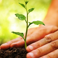 आँखा उपचार केन्द्रलाई दुई करोड बढीको उपकरण हस्तान्तरण