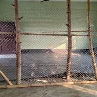 बोबाङका बालबालिकासहित ४७ जनामा दादुरा सङ्क्रमण