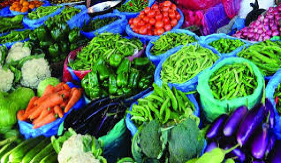 सरकार, दल र नवपुस्ताबिच समन्वय जरुरी