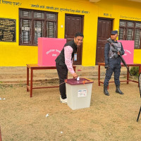बाँकेको पूर्वी क्षेत्रमा बाघ र चितुवाको आतङ्क
