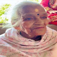 ६६ जिल्लामा ११ सयभन्दा बढीमा डेंगु पुष्टि, एकको मृत्यु