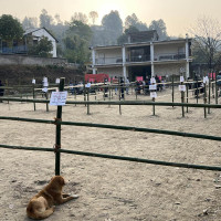 खत्रीको दोस्रो कृति प्रकाशित