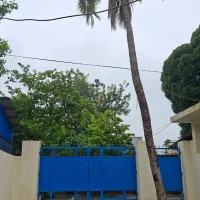 शोकबिच पनि मताधिकारको प्रयोग