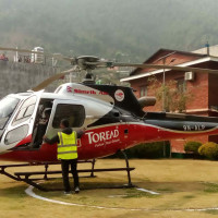 जनसङ्ख्याको दुई प्रतिशतमा दुबी : यसरी हुन्छ उपचार