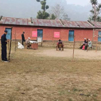 नीति तथा कार्यक्रम: अपाङ्गता भएका व्यक्तिलाई  निःशुल्क सहायक सामग्री