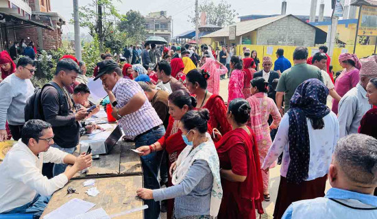 नवलपुरमा घट्यो मत प्रतिशत