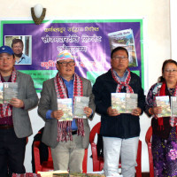 मतदान प्रतिशत स्वाभाविक