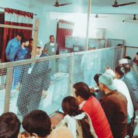 मतदान प्रतिशत स्वाभाविक