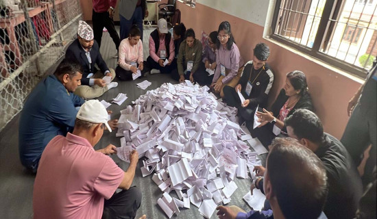 नवलपुरका दुबै क्षेत्रमा रास्वपाको सुरुवाती अग्रता