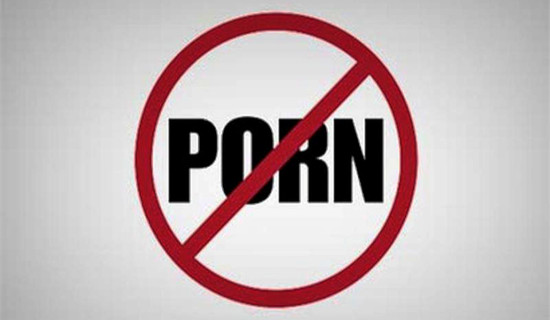 नाबालिगका लागि पोर्न साइट बन्द